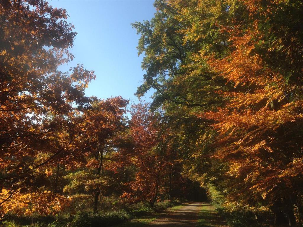 Ferienhaus Ginkgo Biloba Malsbenden 外观 照片