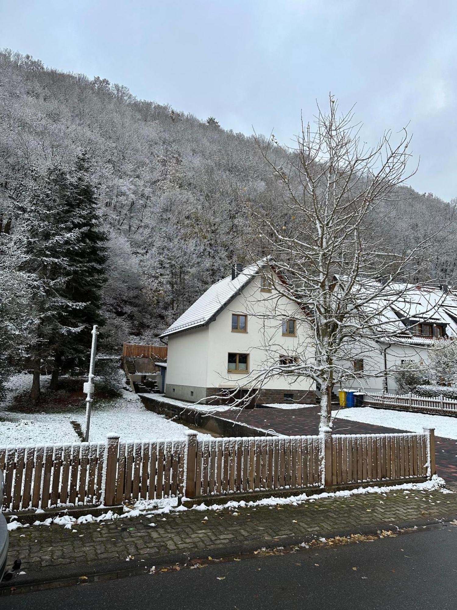 Ferienhaus Ginkgo Biloba Malsbenden 外观 照片
