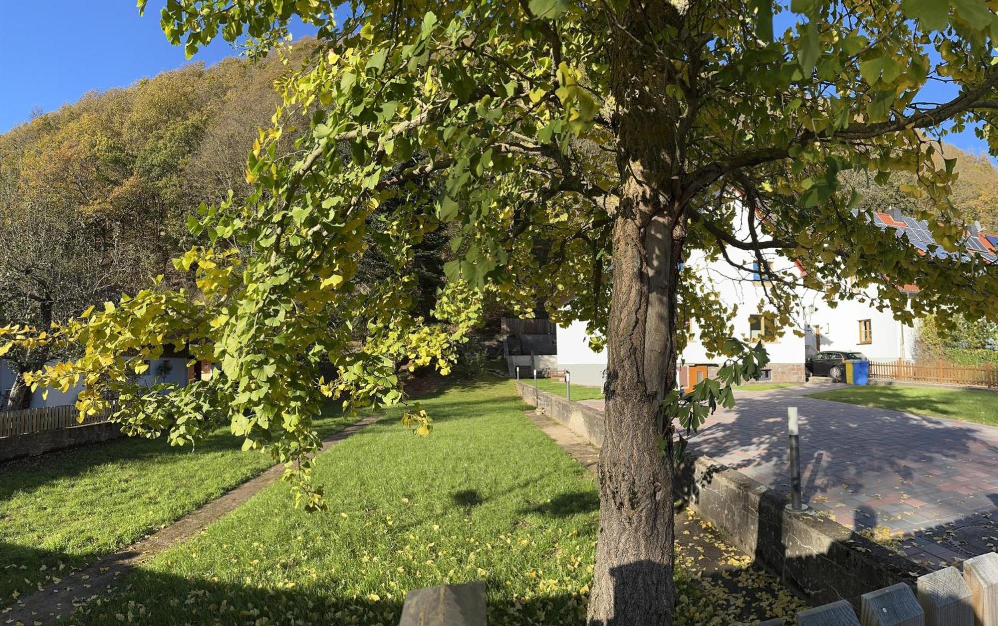 Ferienhaus Ginkgo Biloba Malsbenden 外观 照片