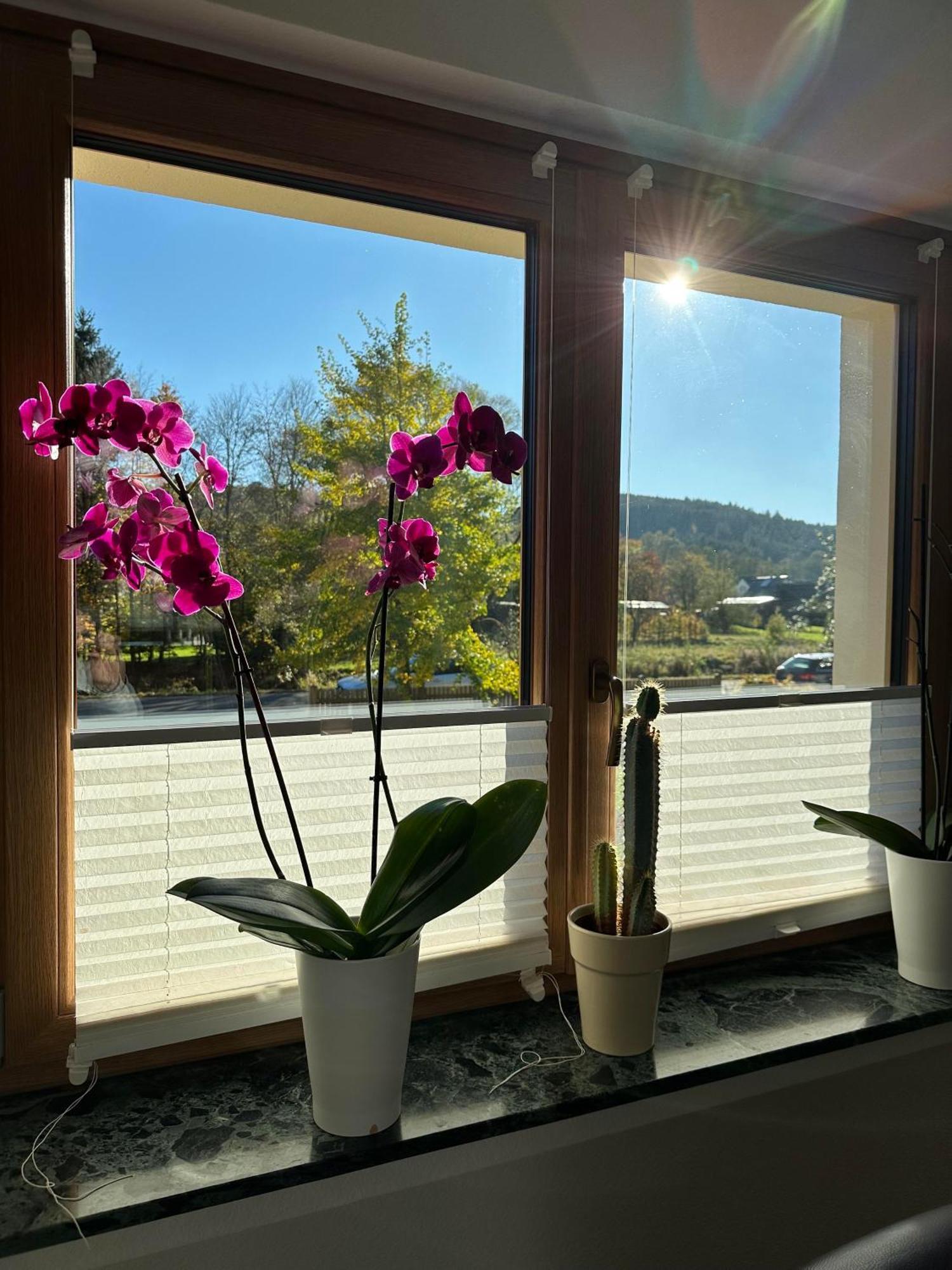 Ferienhaus Ginkgo Biloba Malsbenden 外观 照片