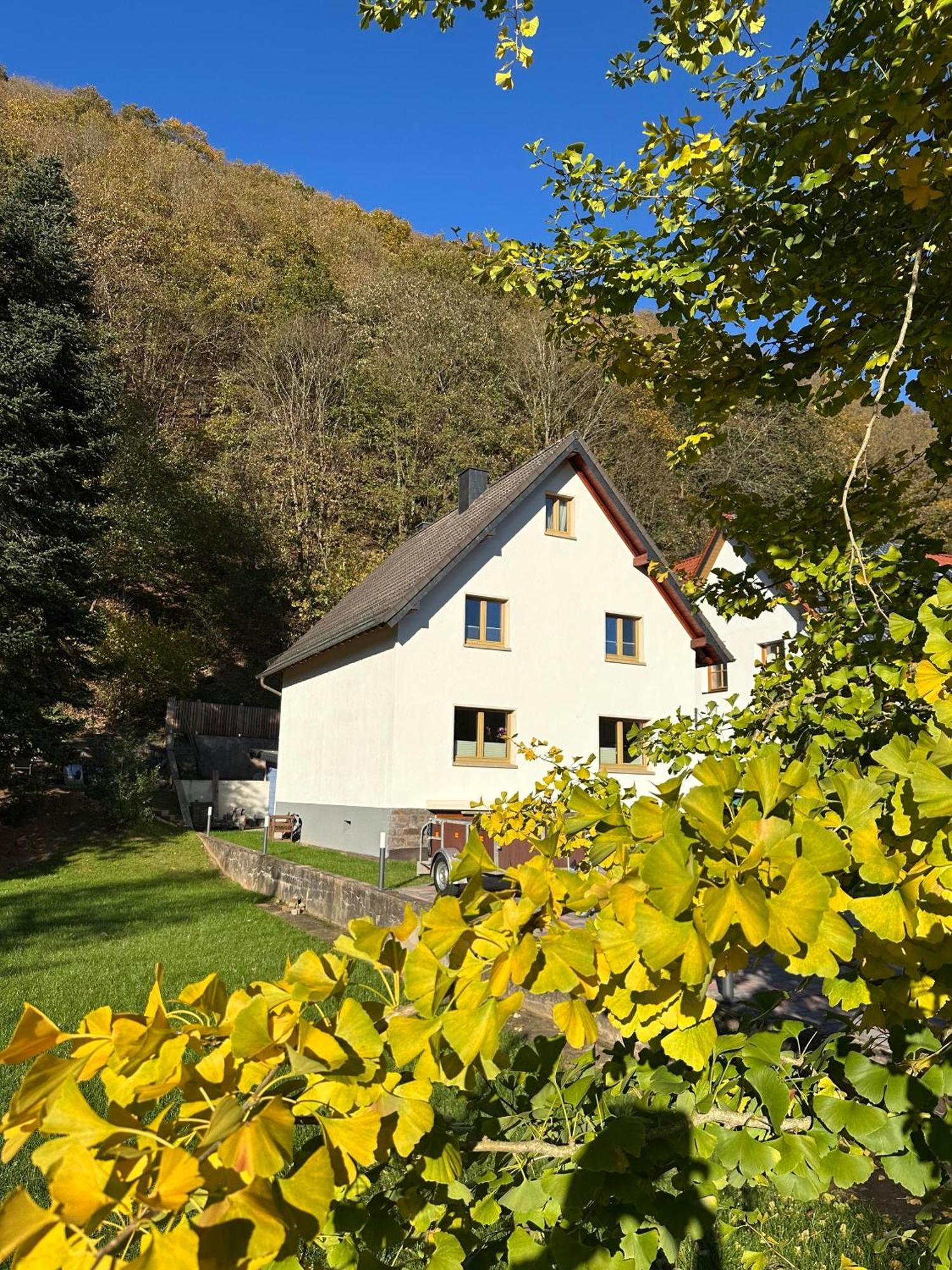 Ferienhaus Ginkgo Biloba Malsbenden 外观 照片