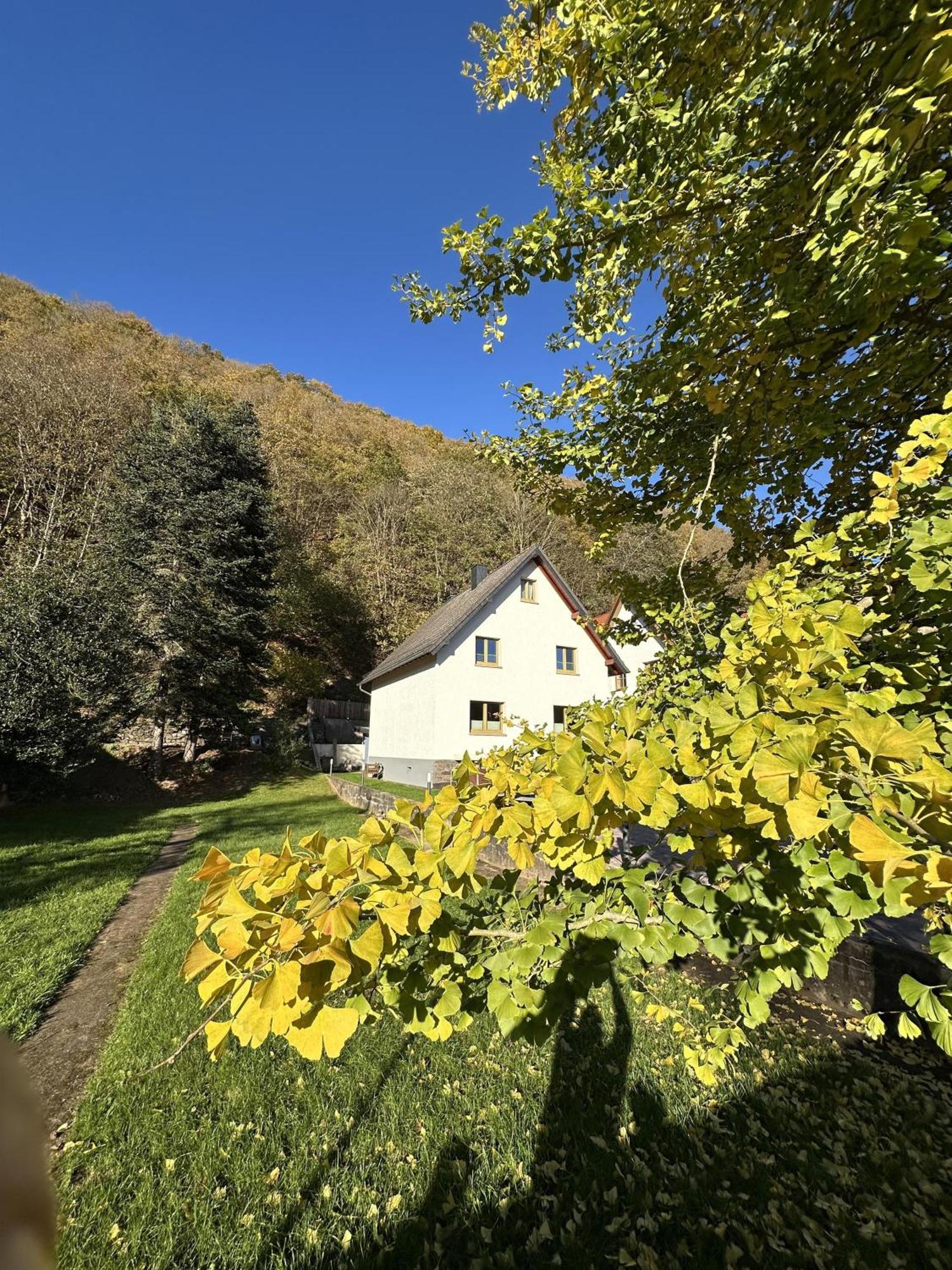 Ferienhaus Ginkgo Biloba Malsbenden 外观 照片